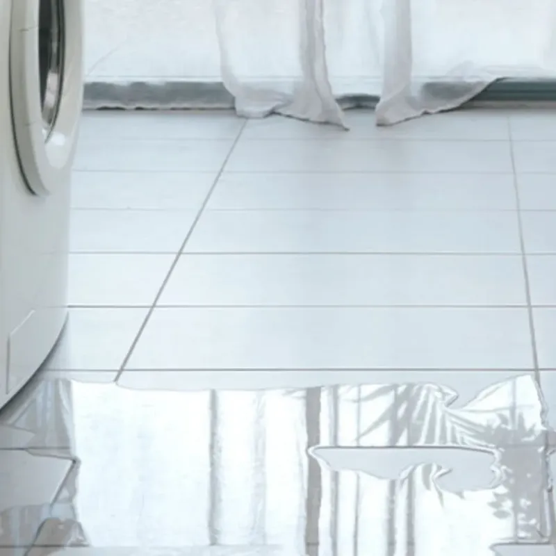 Appliance Leak Cleanup in Wells County, IN