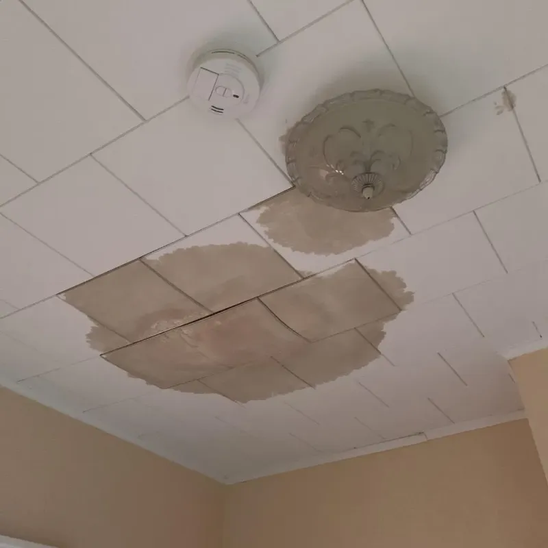 Ceiling Water Damage Repair in Wells County, IN