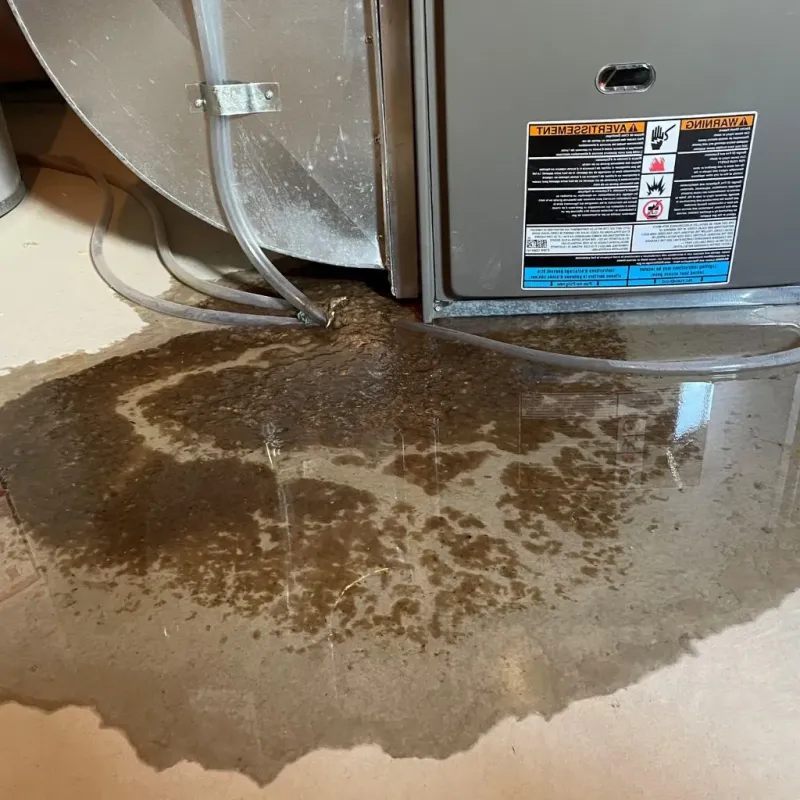Pipe Burst and Leak Restoration in Wells County, IN