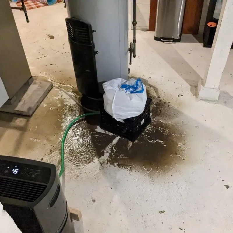 Sewage Backup Cleanup Service in Wells County, IN